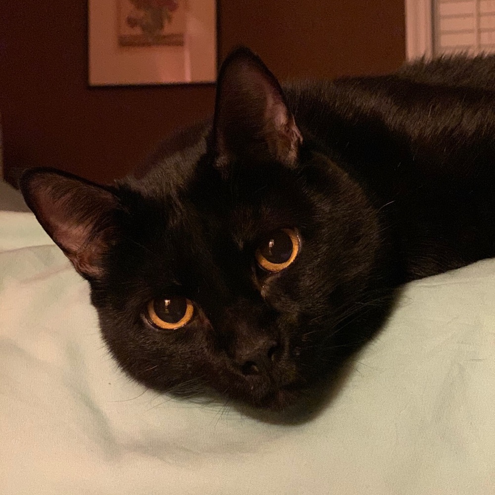 Meet your Posher, Tina